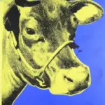 COW 1971