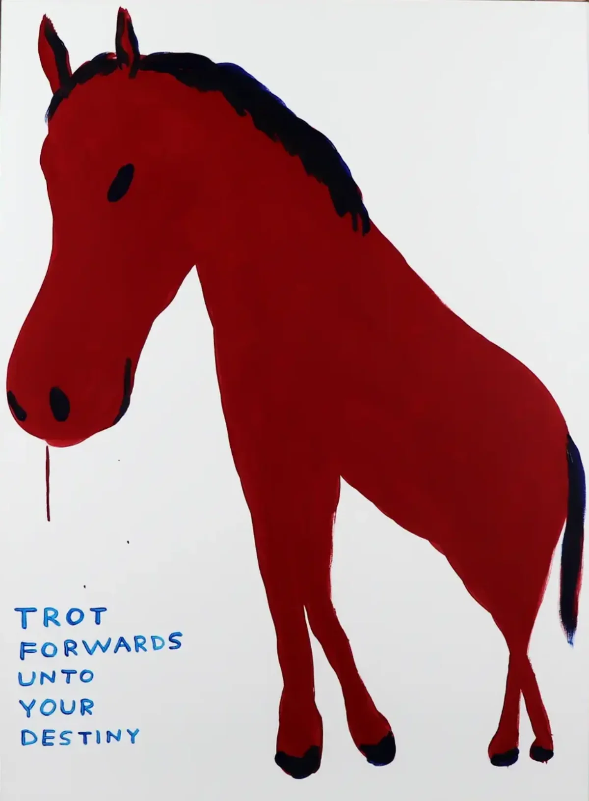 David Shrigley（デヴィッド・シュリグリー） | 百貨店クオリティを