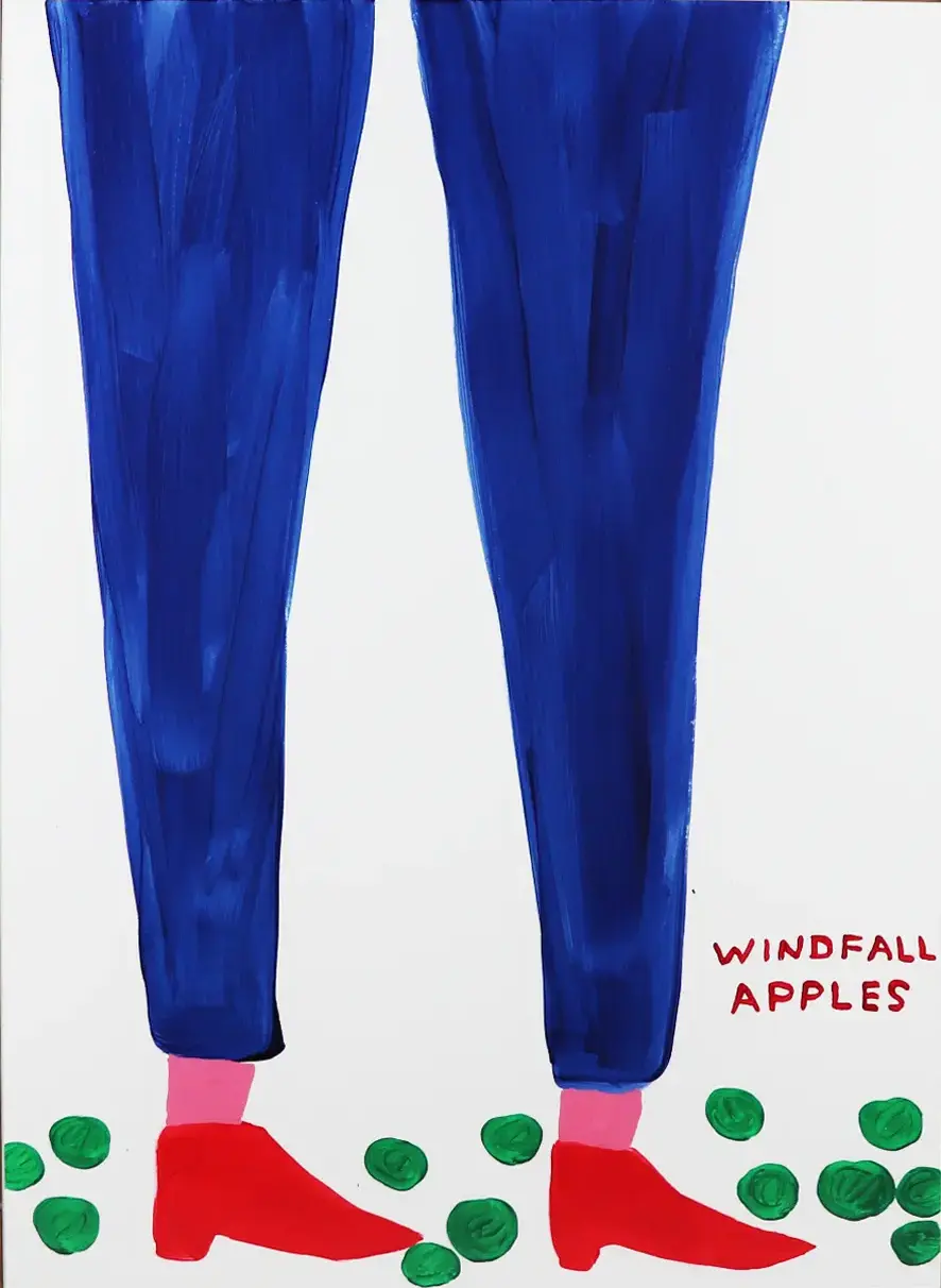 Untitled（Windfall apples),2023