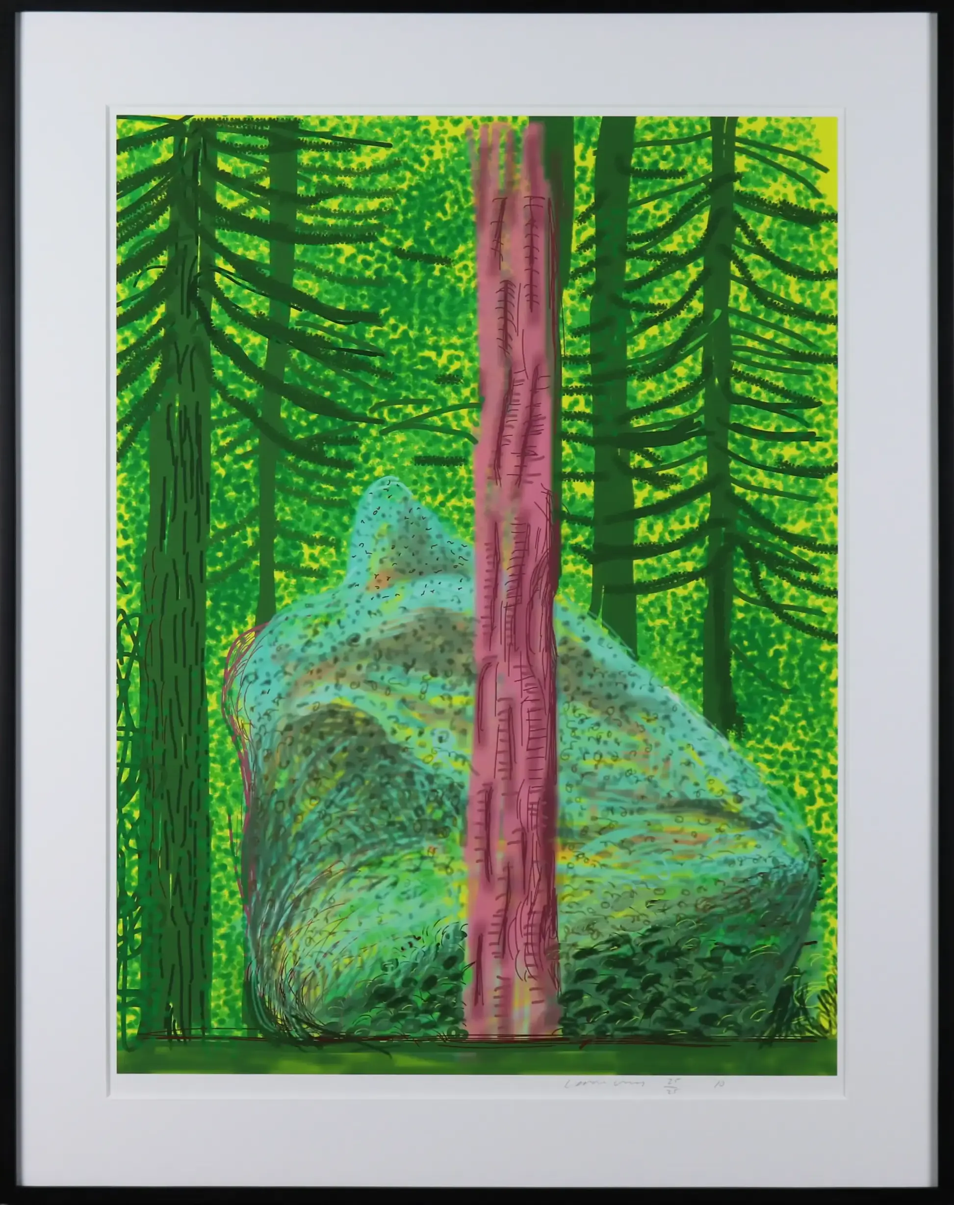 “Untitled No.19” from “The Yosemite Suite”