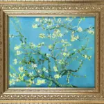 花咲くアーモンドの木の枝