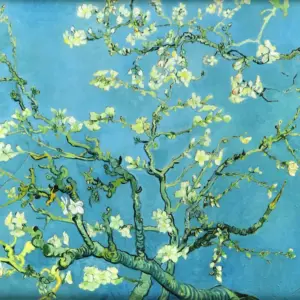 花咲くアーモンドの木の枝