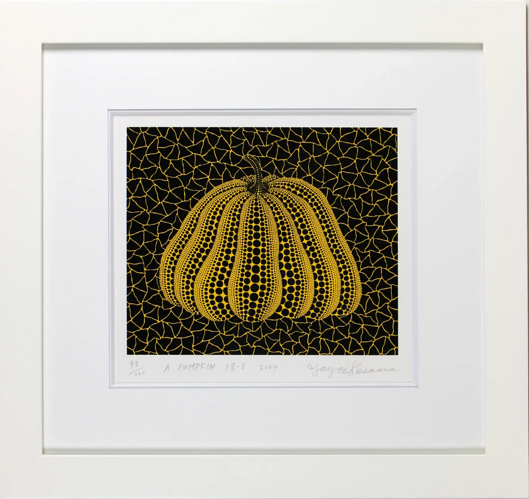 A pumpkin YB-D