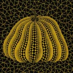 A pumpkin YB-D