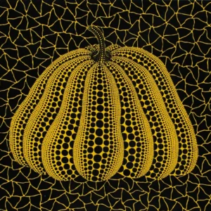 A pumpkin YB-D